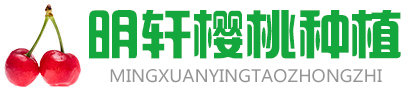 明轩樱桃种植（寿光）专业合作社