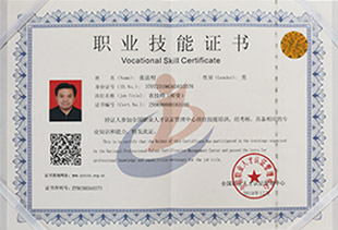 职业技能证书