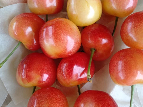 微信图片_20200324120157