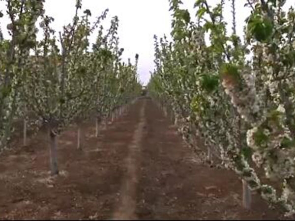 qq截图20200807162207