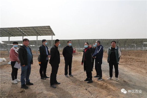 武城县委领导现场办公 寿光新派樱桃落地坤信农业生态产业园